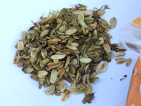 ashitaba seeds (Native species)