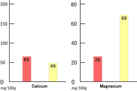 CalciumMagnesium