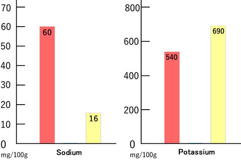 Sodium｜Potassium