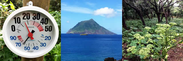 八丈島の気温、橘丸と八丈小島、明日葉畑